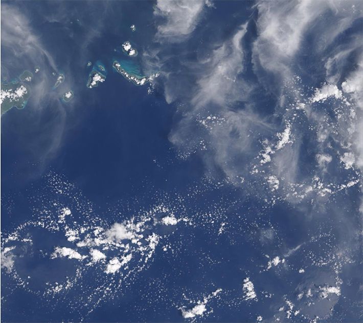 Satellite image of a variety of cloud types