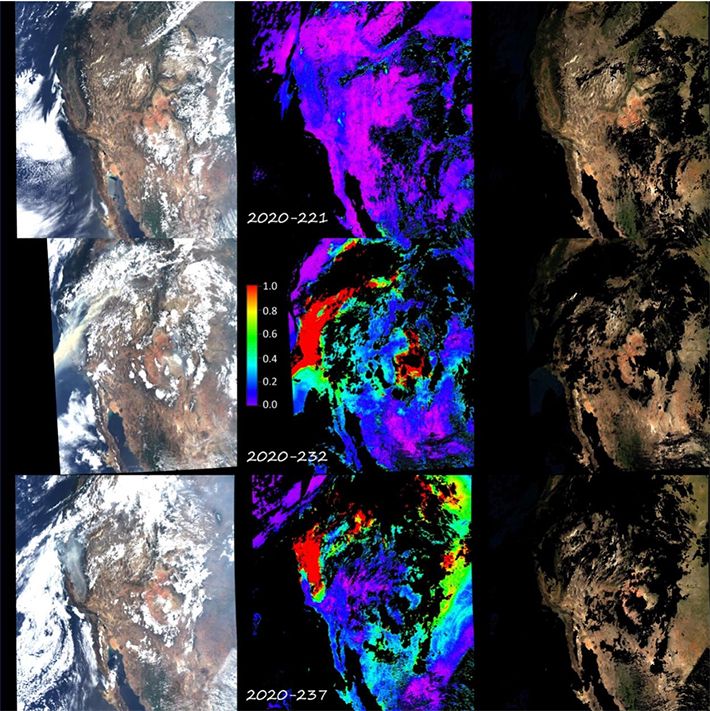 Image montage of satellite observational images