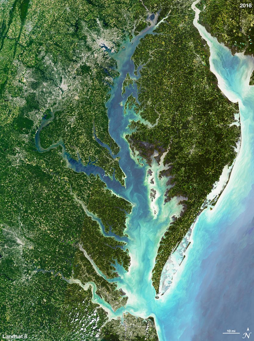 Landsat 8 Image of the Chesapeake Bay