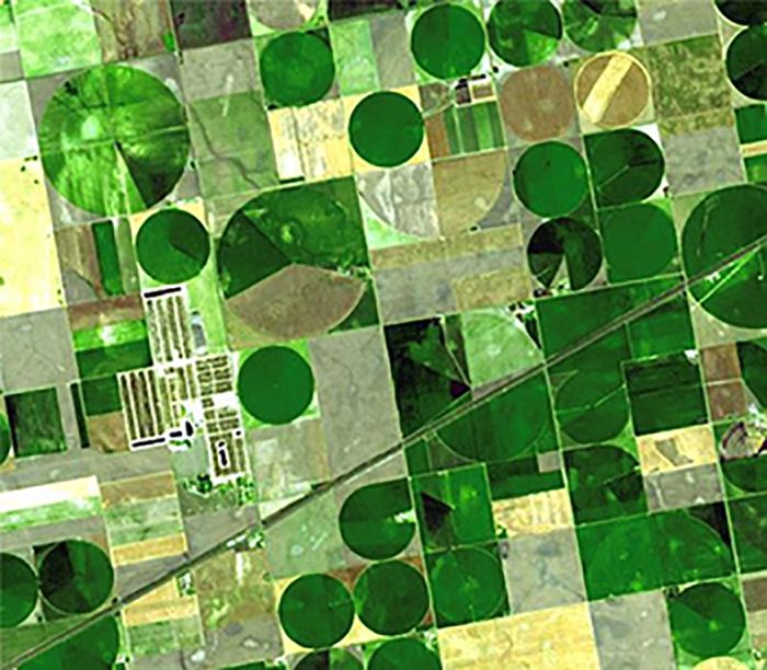 Satellite view of field cropping patterns