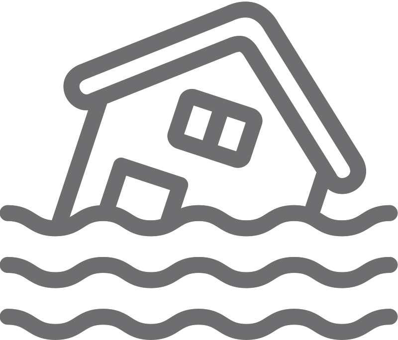 House Icon