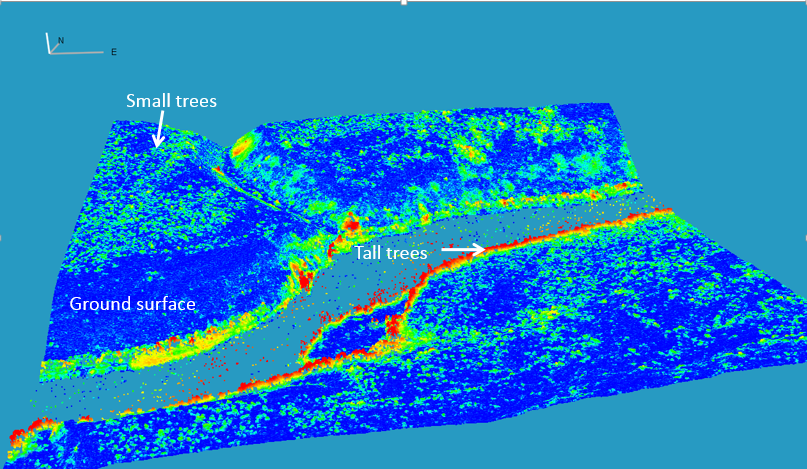 3D View of Canopy Height Model from WorldView Stereo Image (Courtesy Chris Neigh, Jon Ranson)