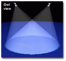 OWL spacecraft viewing configuration