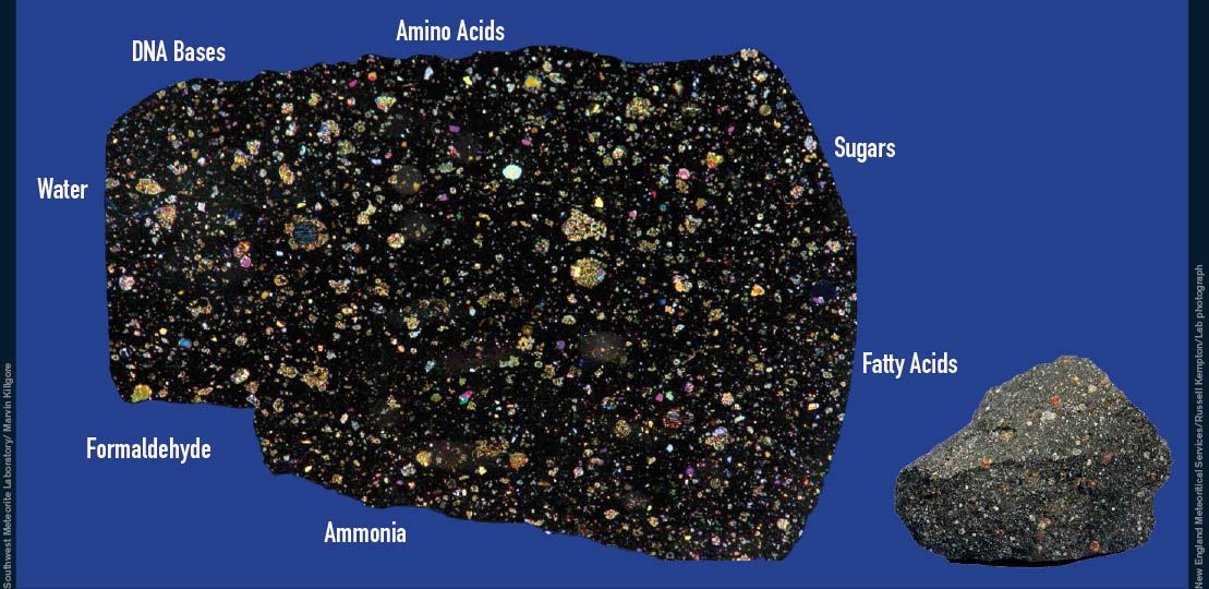 Close up/microscopic view of a metoerite with the labels DNA Bases, Amino Acids, Sugars, Fatty Acids, Ammonia, Formaldehyde, and Water.