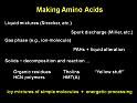 Amino_Acid_Syntheses