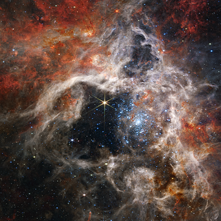 A Cosmic Tarantula, Caught by NASA’s Webb