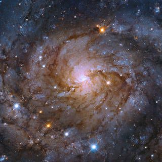Hubble Spies a Hidden Galaxy