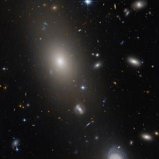 Hubble Captures Giant Elliptical in the Head of the Serpent