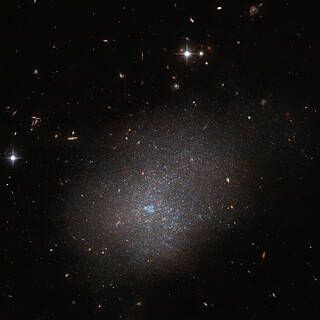 Hubble Sees a Sparkling Neighbor Galaxy