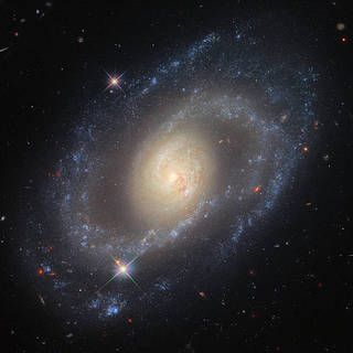 NASA Selects Proposals to Study Stellar Explosions, Galaxies, Stars