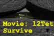 12Tet Survive