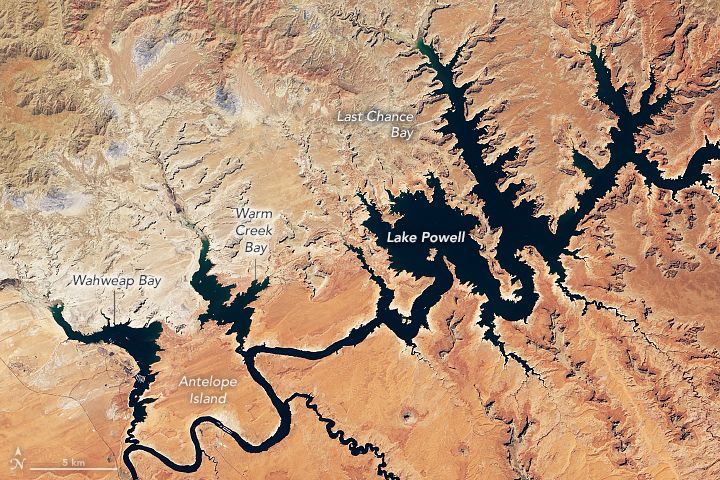 Landsat 8 natural-color satellite image of Lake Powell in late summer 2021