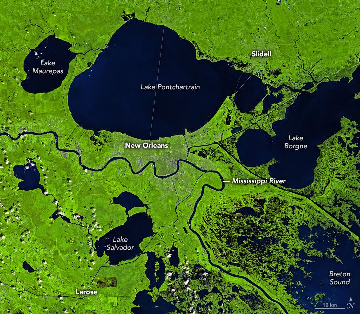 Landsat 8 false-color satellite images of Mississippi River Delta