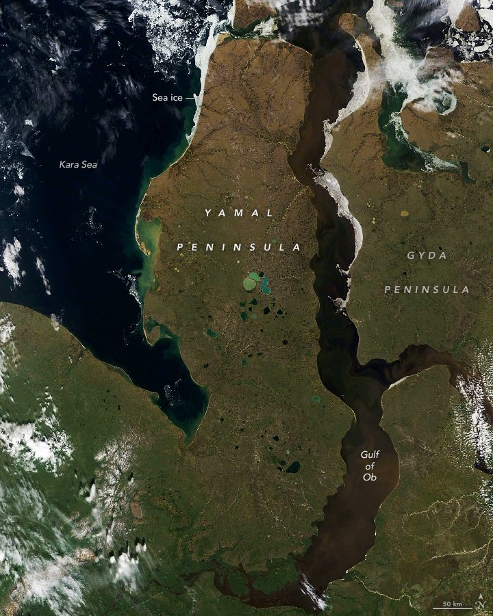 Natural-color Terra satellite image of the Yamal Peninsula in West Siberia