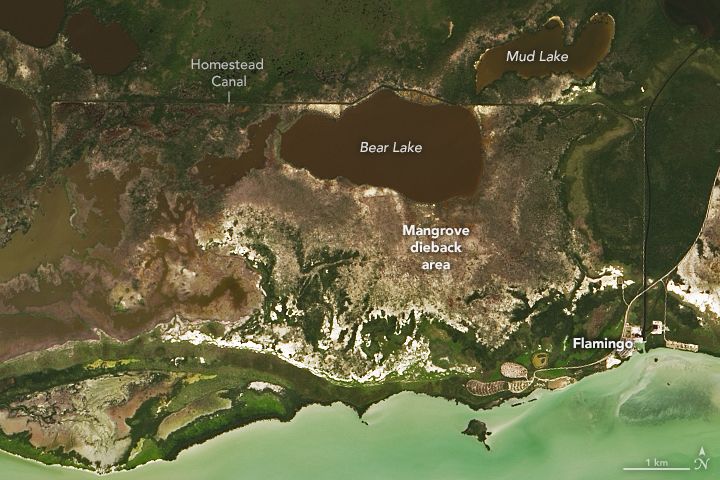 Landsat 8 satellite image of Cape Sable, Florida