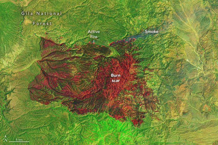 False-color Landsat 8 image of the Black fire burn scar