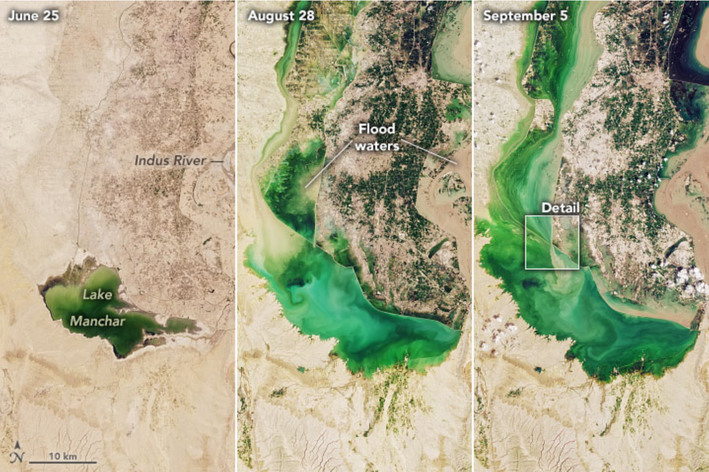 Series of natural-color Landsat 8 images of Pakistan's Lake Manchar after extreme rainfall