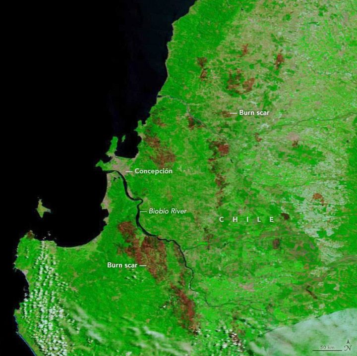 False-color Terra satellite image of wildfire burn scars in Chile