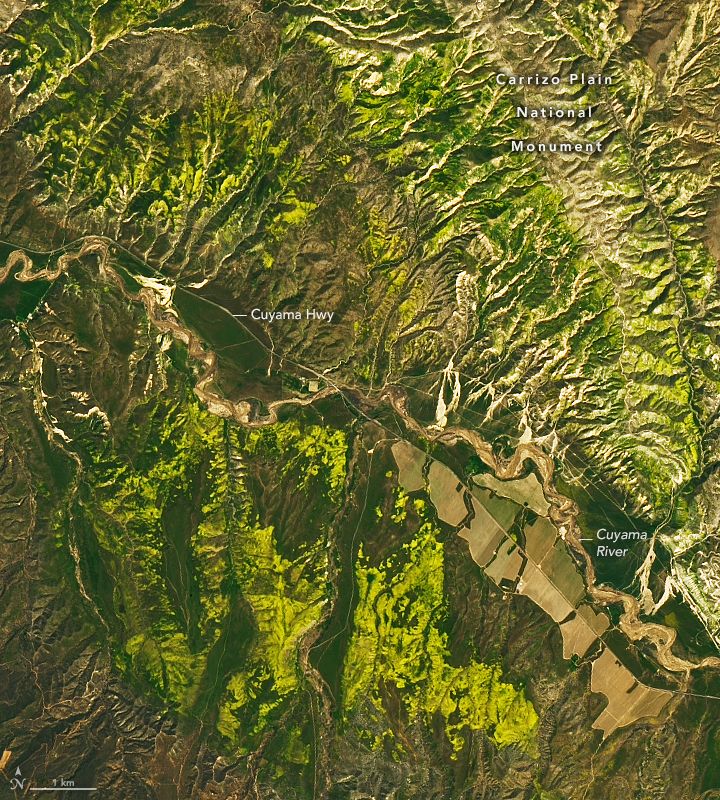 Landsat 9 satellite image of the desert blooming in Carrizo Plain National Monument on April 6, 2023