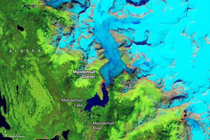 Landsat 8 false color satellite image of Mendenhall Glacier on July 28, 2023