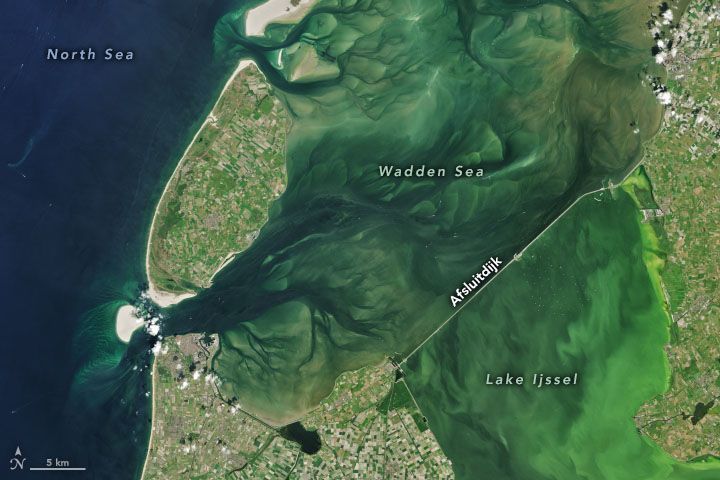 Landsat 8 image of the Afsluitdijk dam that separates a shallow inlet of the North Sea from freshwater Lake Ijssel in the Netherlands.
