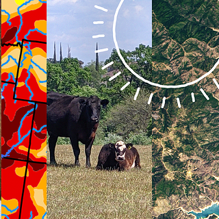 Photo montage of cattle in field, drought map, and satellite image of land