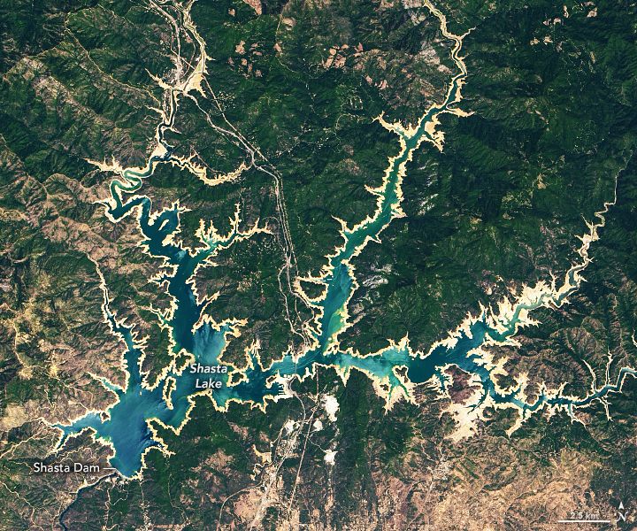 Landsat 8 image of Shasta Lake and Lake Oroville this year