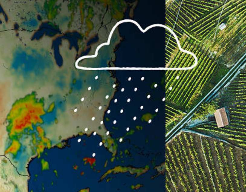 Photo montage depicting illustration of rain cloud over satellite image of fields