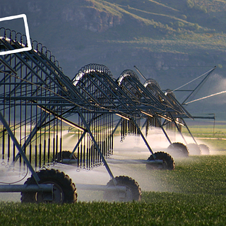 Photo of irrigation system watering crops