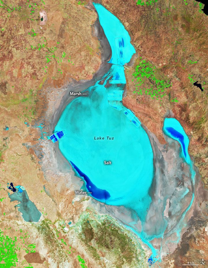False-color Landsat 8 image of Lake Tuz on August 9, 2021