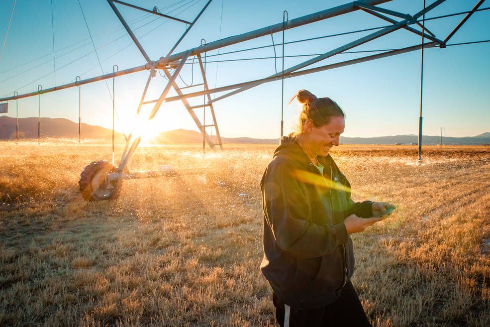 Photo of Nevada farmer Denise Moyle in field with smart phone in hand