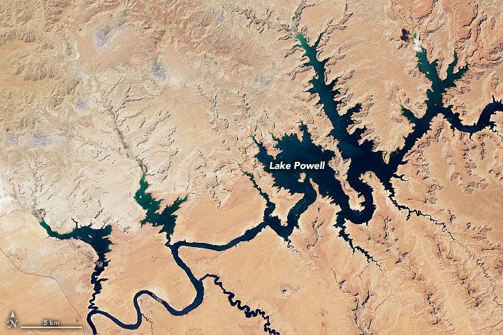 Natural-color Landsat 9 satellite image of Lake Powell on August 6, 2022