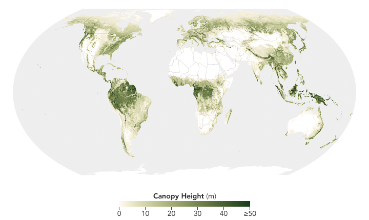 Map of global canopy height