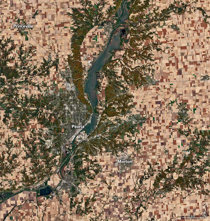 Landsat 8 natural-color image of farmland around Peoria, Illinois