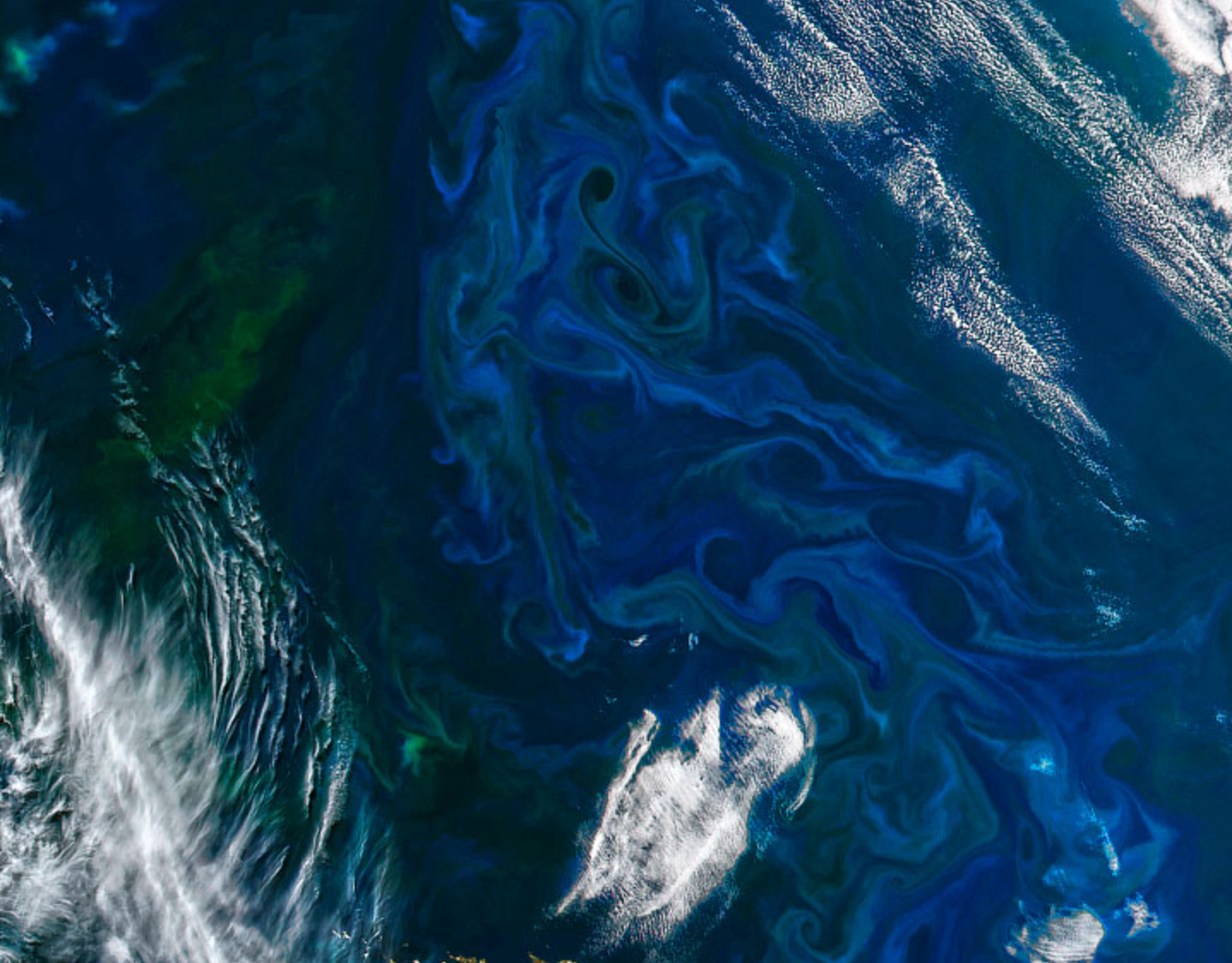 Aqua satellite image of phytoplankton blooms off the coast of Argentina