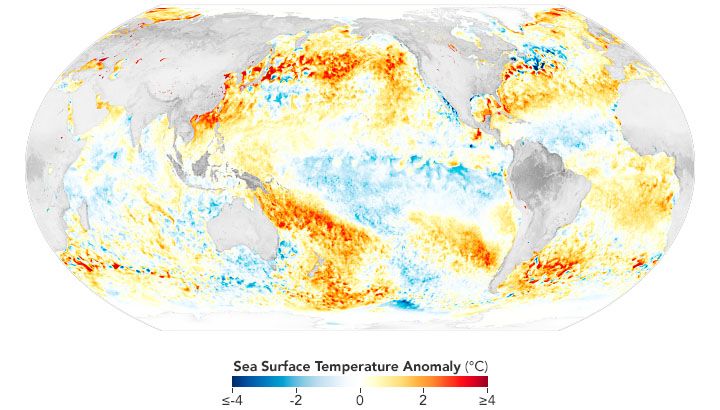 Global map of Sea Surface Temperature Anomaly