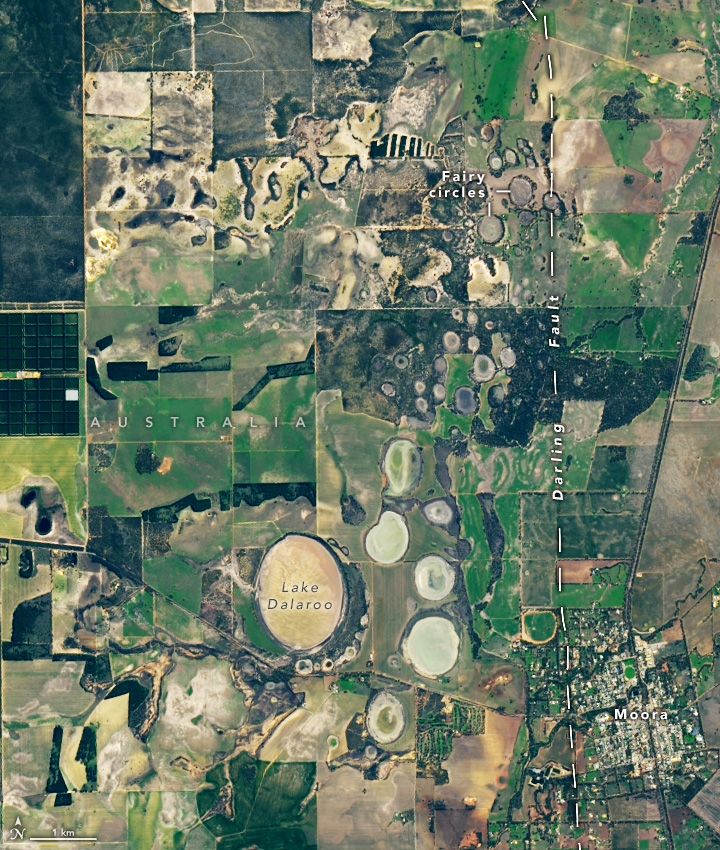 Landsat 9 satellite image of groups of fairy circles near the town of Moora, Australia