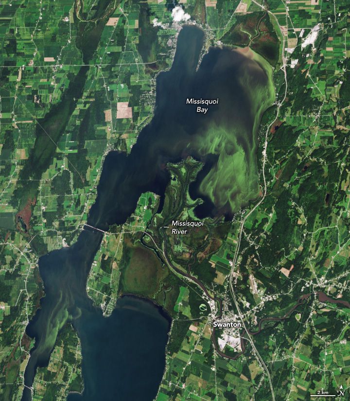 Landsat 8 natural-color satellite image of a bloom swirling near the mouth of the Missisquoi River