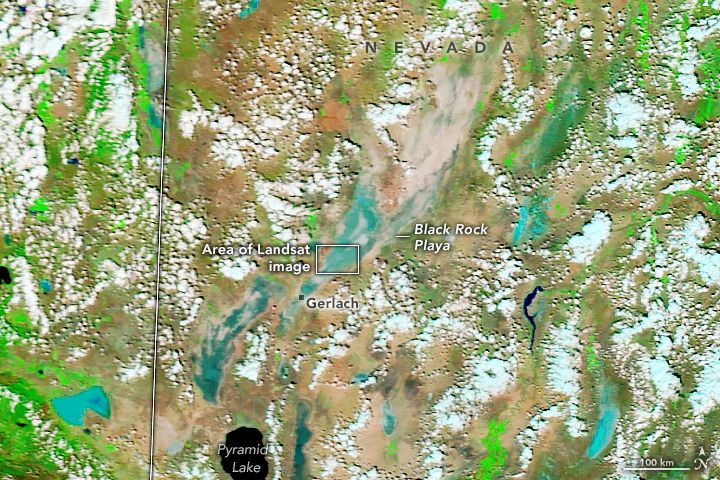 False-color Terra satellite image of saturated Black Rock Desert