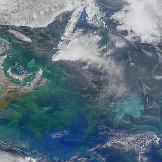 Satellite image of phytoplankton bloom around the Canadian Maritime Provinces and Atlantic Ocean