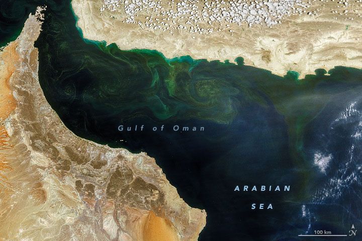 Suomi NPP satellite image of 2019 phytoplankton bloom in Arabian Sea