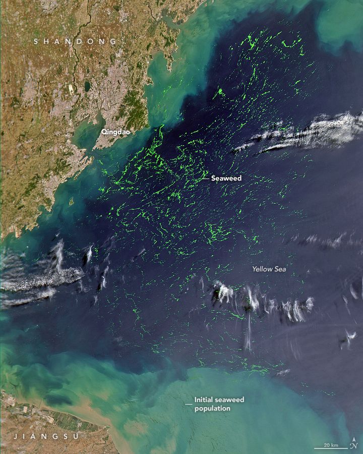 SeaHawk CubeSat natural-color image of algae in the Yellow Sea