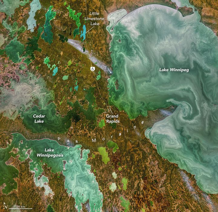 Landsat 8 satellite image of the Manitoba Great Lakes