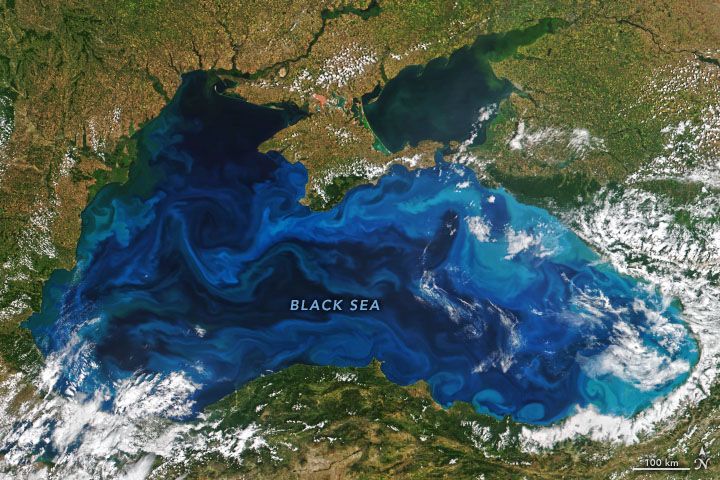 Suomi NPP satellite image of a phytoplankton bloom the Black Sea