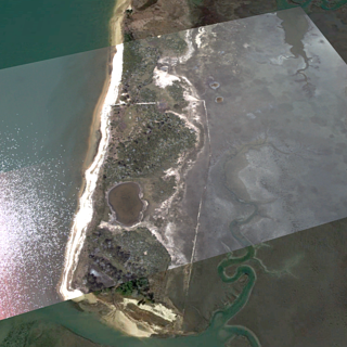 An image of a coastal marshland combines aerial and satellite views in a technique similar to hyperspectral imaging
