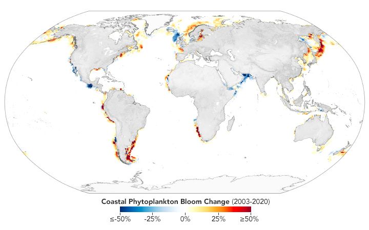 Global map of coastal phytoplankton bloom change (2003-2020)