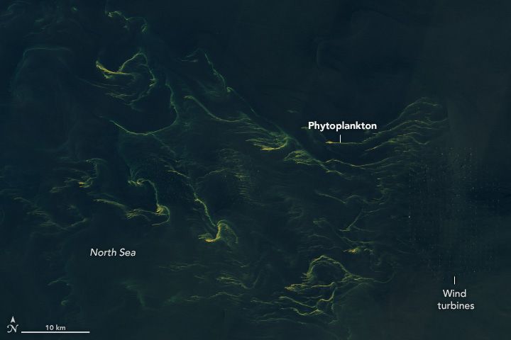 Landsat 9 satellite image of a phytoplankton bloom north of the East Frisian Islands in Lower Saxony, Germany
