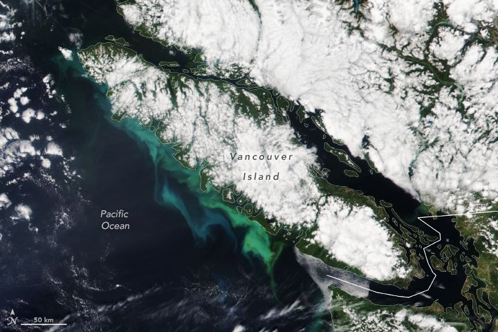 NOAA-20 satellite image of sediment and phytoplankton blooms off of Vancouver Island