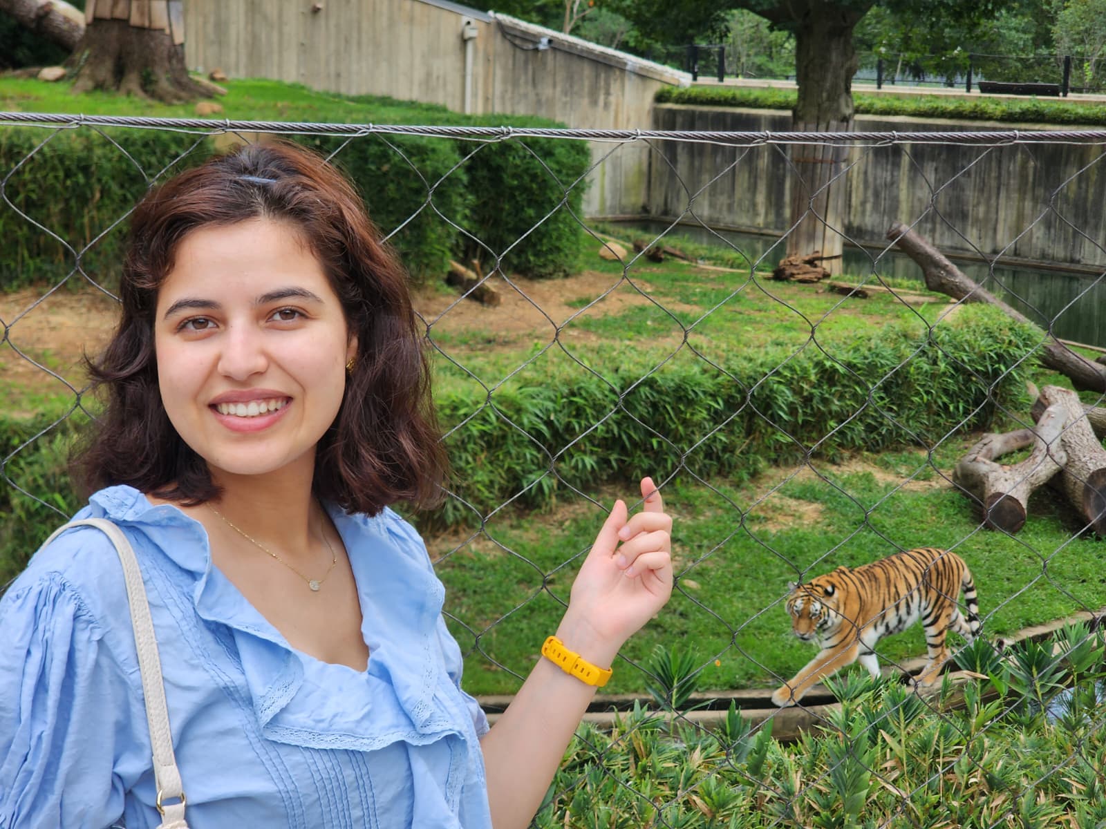 A visit to the Washington, D.C. Zoo