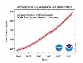 Graph of Atmospheric CO2 at Mauna Loa Observatory over 50 years